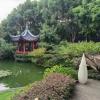 后花園